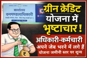 मरवाही वनमंडल: ग्रीन क्रेडिट योजना चढ़ी भ्रष्टाचार की भेंट, सिंचाई व्यवस्था बिना रोपण, 70% पौधे सूखने की कगार पर, पथरीली जमीन कागजों में बनी “सिंचित प्लांटेशन”