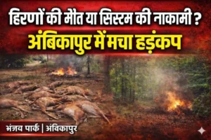 “वन विभाग की बड़ी नाकामी! कुत्तों के हमले में हिरणों की मौत, सबूत मिटाने का आरोप”