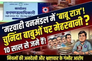 मरवाही वनमंडल में ‘बाबू राज’ हावी: आधा दर्जन DFO बदले, पर कैम्पा शाखा प्रभारी भूपेंद्र साहू और मुख्य लिपिक शैल गुप्ता अडिग — ट्रांसफर आदेश सिर्फ कागजों तक सीमित!
