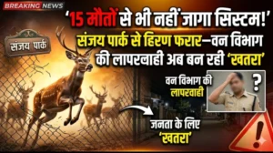 “15 मौतों से भी नहीं जागा सिस्टम! संजय पार्क से हिरण फरार—वन विभाग की लापरवाही अब बन रही ‘खतरा’”