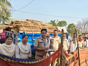 अमलीकांपा में वन विभाग की कार्रवाई: 3.206 घनमीटर अवैध लकड़ी जब्त, आरोपी फरार
