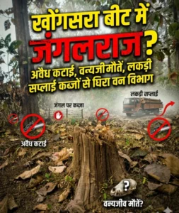 खोंगसरा बीट में जंगलराज ? अवैध कटाई, वन्यजीव मौतें, लकड़ी सप्लाई और कब्जों से घिरा वन विभाग