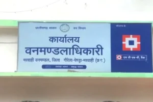 सागौन के बेशकीमती पेड़ों पर चली सरेआम कुल्हाड़ी; शिकायतें डस्टबिन में, जांच के नाम पर सिर्फ लीपापोती रसूखदारों का जिल्दा पंचायत मे खुलेआम कब्जा का खेल 