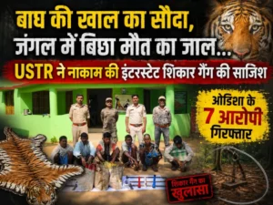 बाघ की खाल का सौदा, जंगल में बिछा मौत का जाल… USTR ने नाकाम की इंटरस्टेट शिकार गैंग की साजिश, ओडिशा के 7 आरोपी गिरफ्तार”