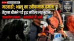 तेंदूपत्ता संग्रह बना जानलेवा! मरवाही के जंगल में वृद्ध महिला पर भालू का हमला, चीख-पुकार से दहला इलाका