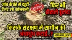 जांच के घेरे में घिरीं ड्यूटी रेंजर उषा सोनवानी, फिर भी हौसले बुलंद, आखिर किसके संरक्षण में सागौन की हुआ अंधाधुंध कटाई..?  स्पष्ट शब्दों में बना दो