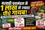 वन विभाग में ‘पौधारोपण घोटाला’! शिकायतें सत्य, जांच पूरी… फिर भी जिम्मेदारों पर कार्रवाई क्यों नहीं?