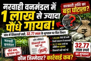 वन विभाग में ‘पौधारोपण घोटाला’! शिकायतें सत्य, जांच पूरी… फिर भी जिम्मेदारों पर कार्रवाई क्यों नहीं?