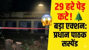 29 हरे-भरे पेड़ों की कटाई पड़ी भारी! प्रधान पाठक निलंबित, शिक्षा विभाग ने दिखाई सख्ती
