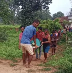 जंगली भालू के हमले में महिला गंभीर घायल, 108 की मदद से जिला अस्पताल में भर्ती