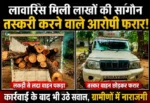 सागौन की अवैध कटाई पर कार्रवाई के बाद भी उठे सवाल, रतनपुर वन परिक्षेत्र में ग्रामीणों में नाराजगी