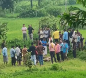 आकाशीय बिजली का कहर, 17 बकरा-बकरियों की दर्दनाक मौत